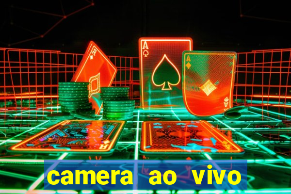 camera ao vivo terminal vila nova cachoeirinha